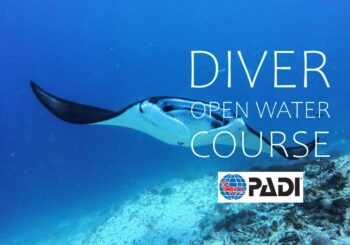 Open Water Diver Course