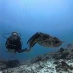 PADI Rescue Diver Course